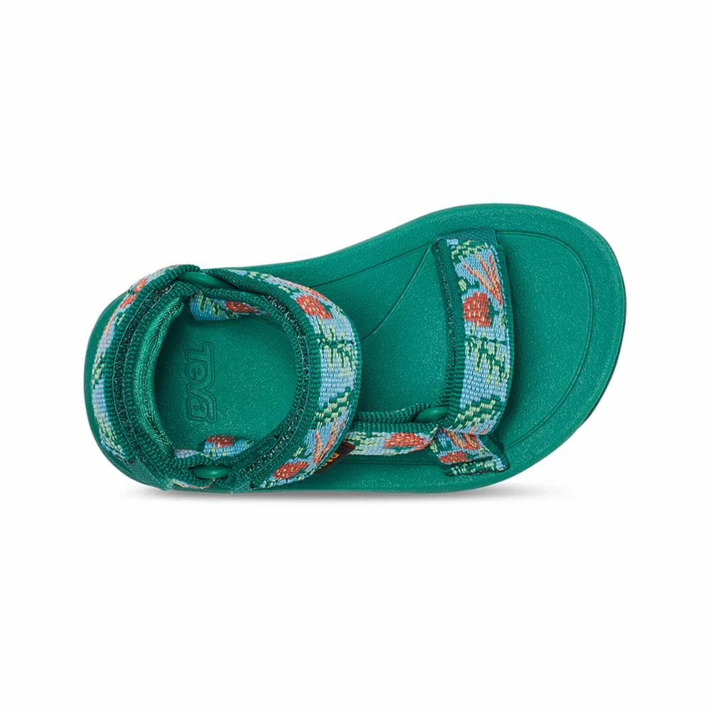 Teva Kids HURRICANE XLT 2 TODDLER GARDEN PACK BLUE SKY - Image 4